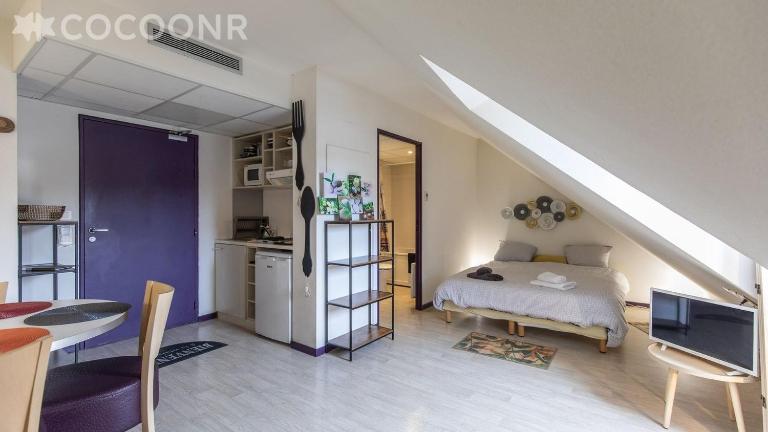 Grand studio 4 personnes bien placé gare , sanctuaire ,centre ville - Chambres d'hôtes Lourdes