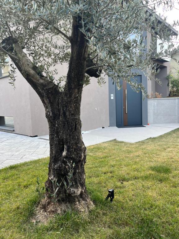 Singella24 - B&B Morbegno