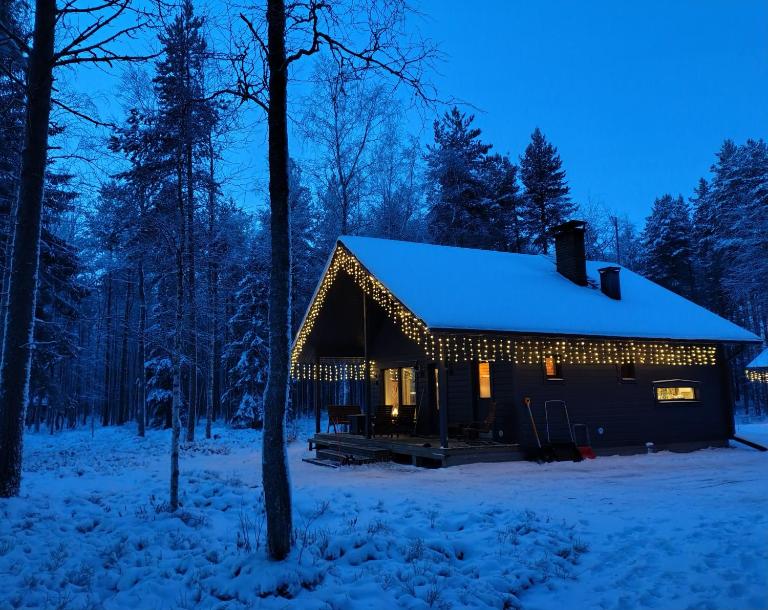 Villa Dyyni - Oulujärvi Manamansalo - Bed and Breakfast Vaala