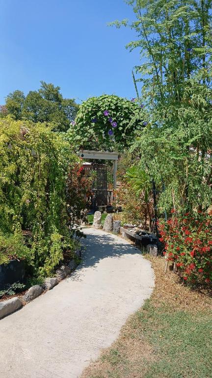 בית של פעם בעמק המעיינות - Bed and Breakfast Mesilot