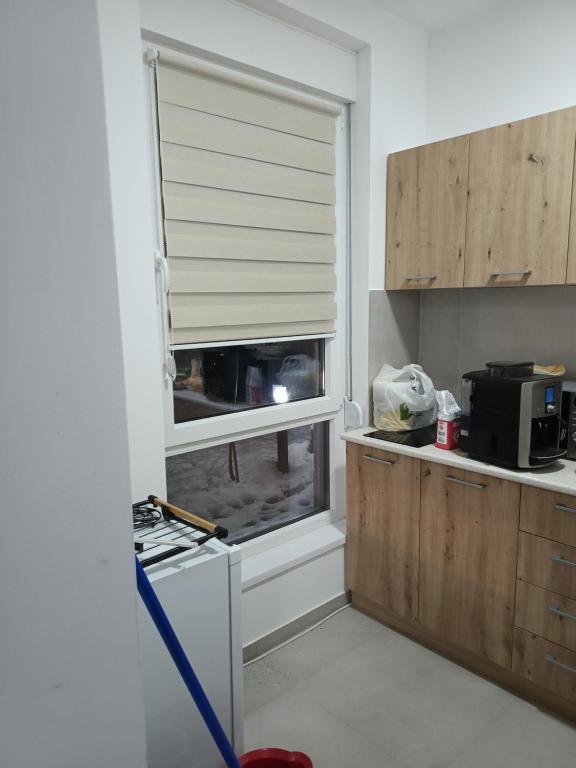 Studio Apartman Leontina Vrnjačka Banja - Ferienwohnung Vrnjci