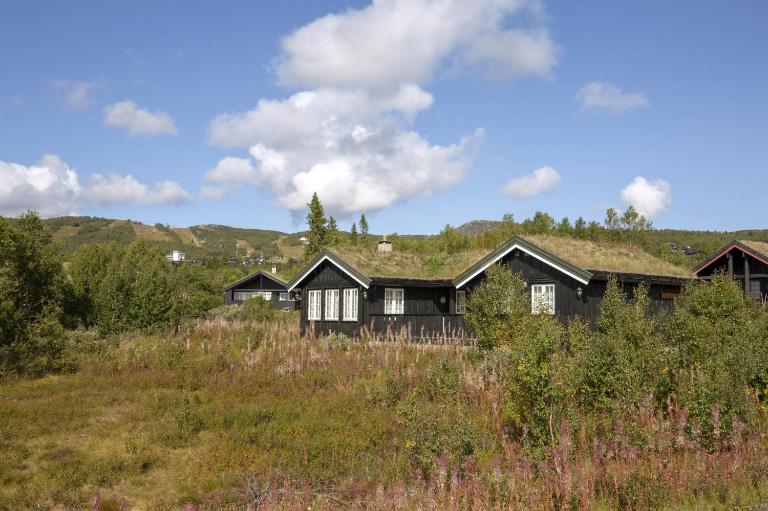 Family-Friendly Cabin With Stunning Outdoor Access - Chambres d'hôtes Beitostølen