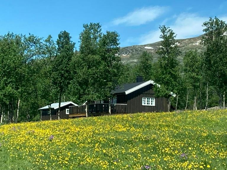 Simple Mountain Cabin Near Vinstra - Ferienwohnung Vinstra