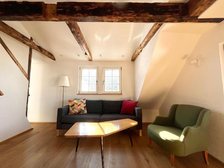 Schwarzwald Chalet Matti in Todtnauberg - Ferienwohnung Todtnauberg