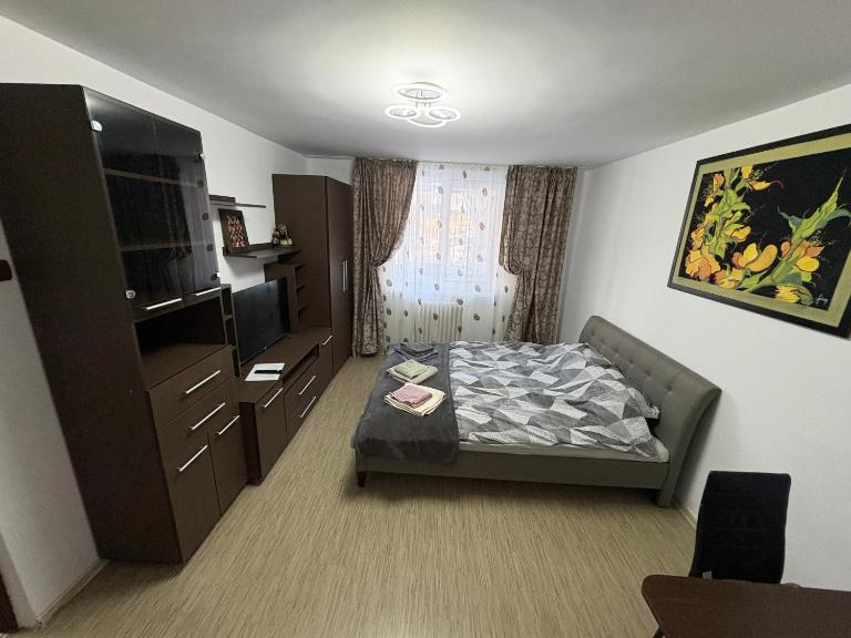 Anto Apartment - B&B Piatra Neamţ
