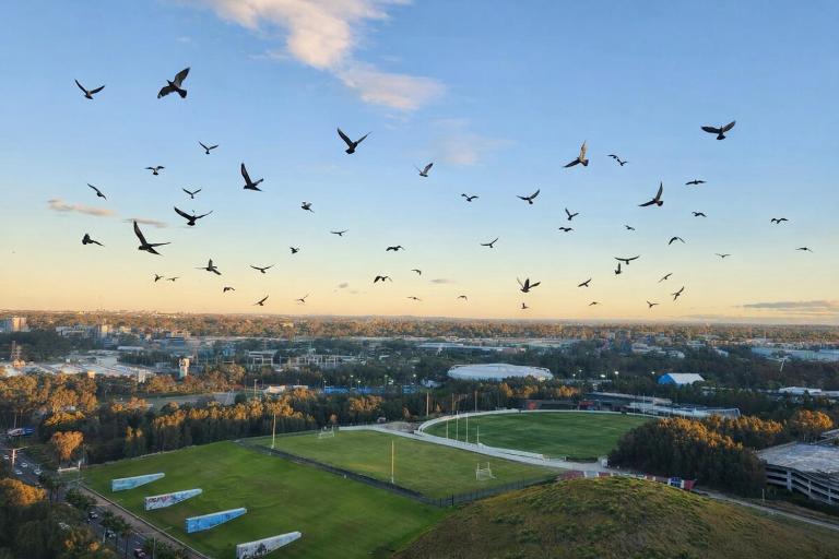 Stylish Olympic Park Stay - Park View and Dining - B&B Sídney