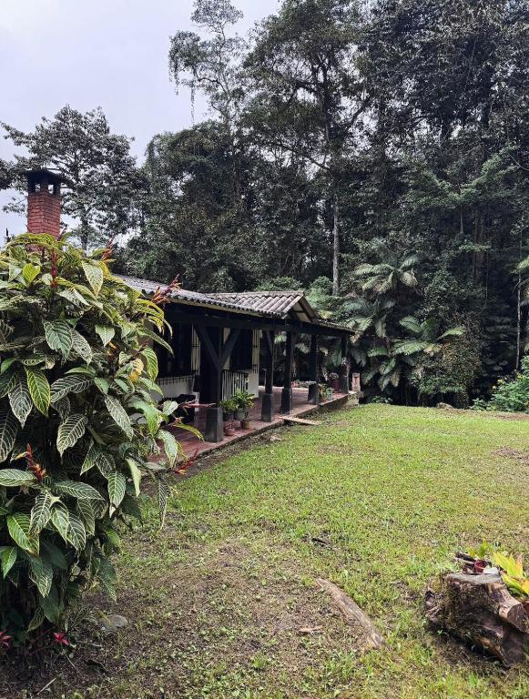 Finca Neblina del Bosque - Cerca a Dapa - B&B La Cumbre