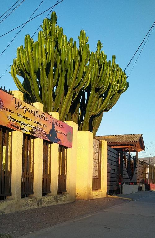 La Casa de los Cactus - B&B Coquimbo