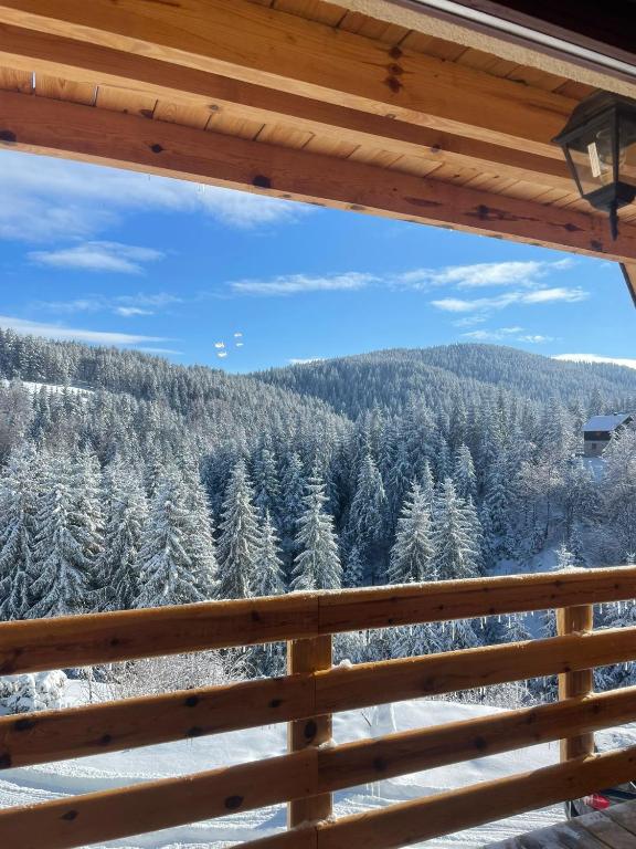 The Tara Concept - B&B Šljivovica