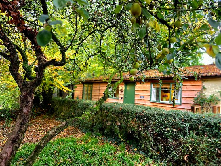 Bluebell Cottage Lurley Manor - B&B Tiverton