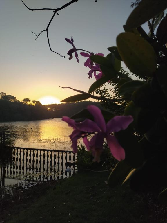 Recanto da Lagoa - Natureza, paz e aconchego - Bed and Breakfast Guarapari