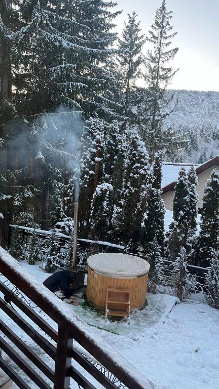 Vila Plai Predeal - Bed and Breakfast Predeal