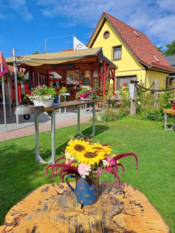 Karinas Apartment - B&B Zingst