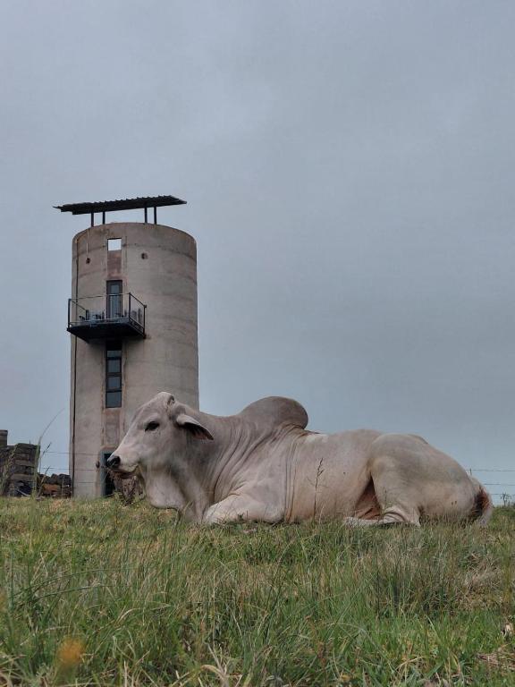 The Silo KZN - Bed and Breakfast Creighton
