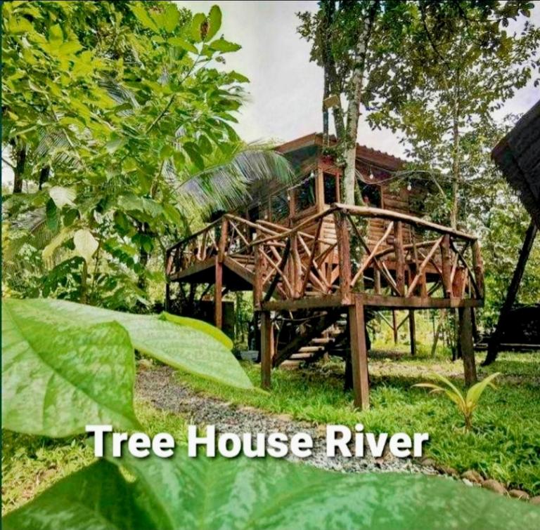 Tree House River - B&B Palma
