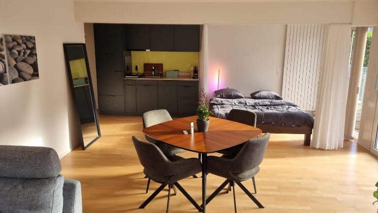 Studio Stadtpark - central, calm, classy, chic - B&B Olten