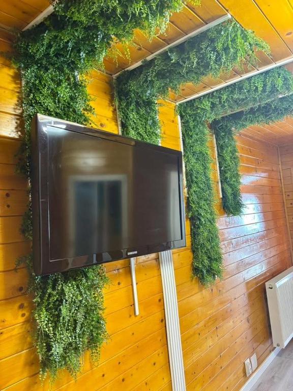 Rustic Baia Sprie - B&B Baia Sprie