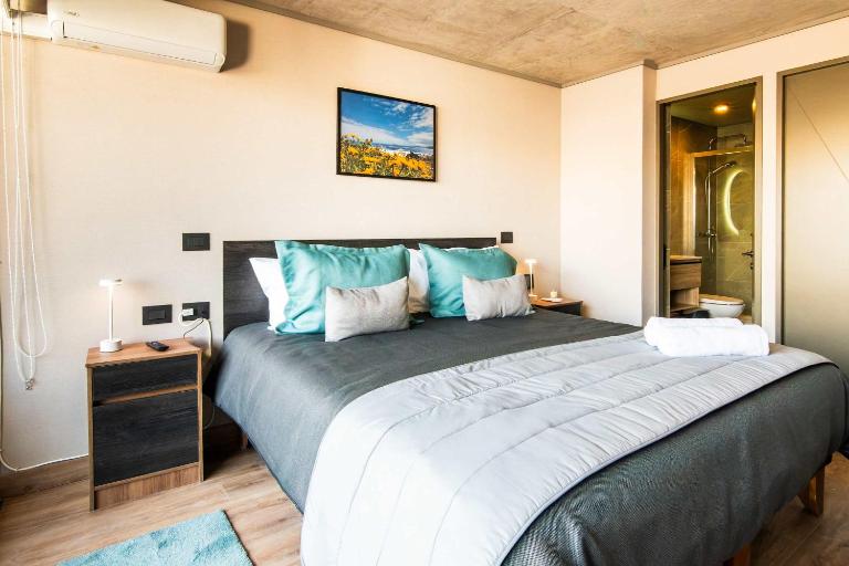HOM I Providencia I Metro Sta Isabel I Plaza Italia GB304 - B&B Santiago del Cile