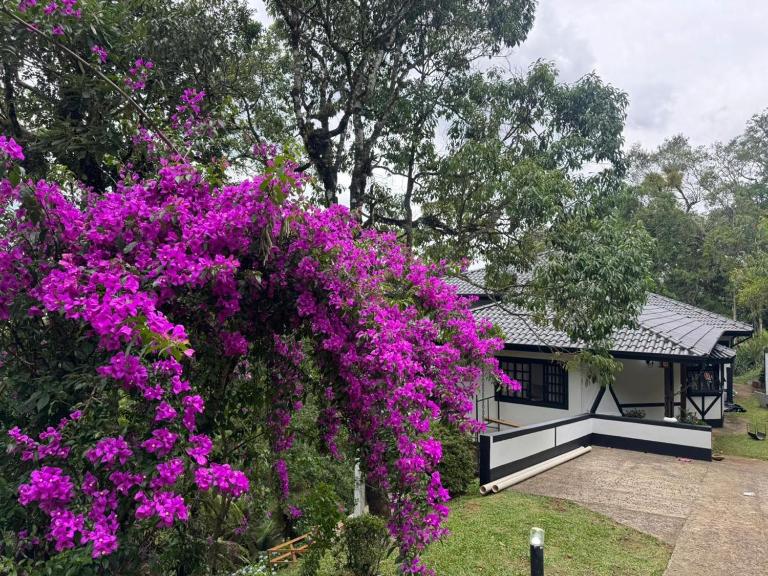 Casa da Montanha Ribs - B&B Monte Verde