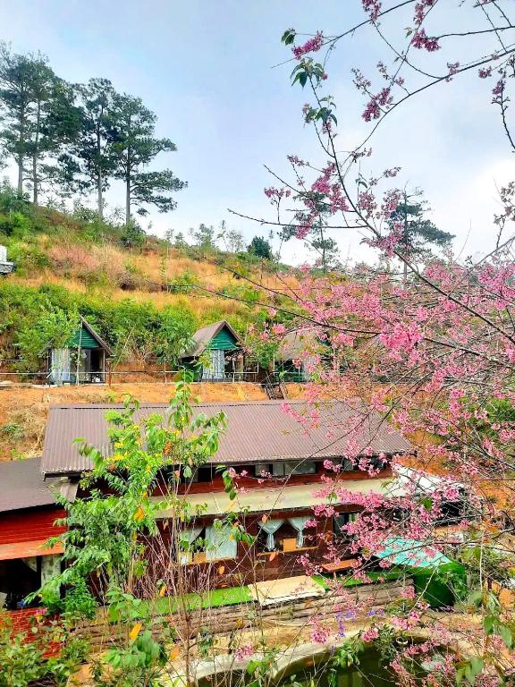 Homestay Ngỏ Nhỏ - B&B Da Lat