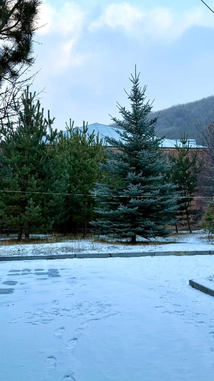 Dream Cottage - B&B Tsaghkadzor