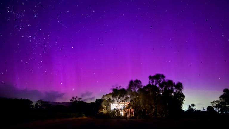 The Treehouse at Sellicks Hill - B&B Sellicks Hill
