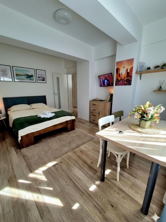 Palas Center Loft - Chambres d'hôtes Iași