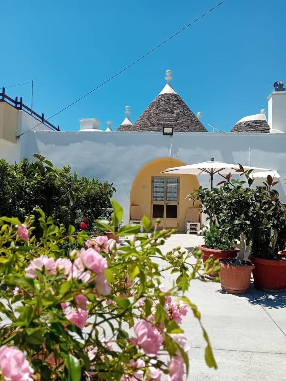 trullo della viola - B&B Martina Franca