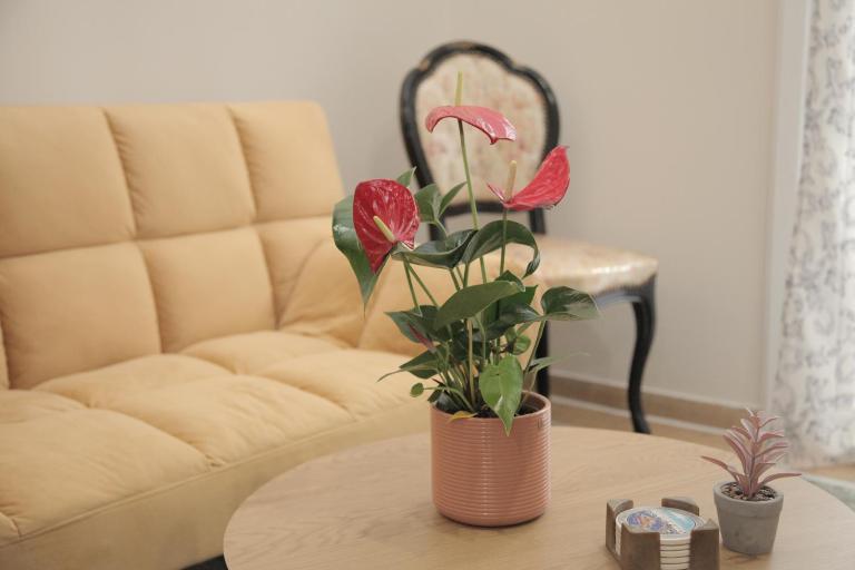 Casa Urbana - Bed and Breakfast Athene