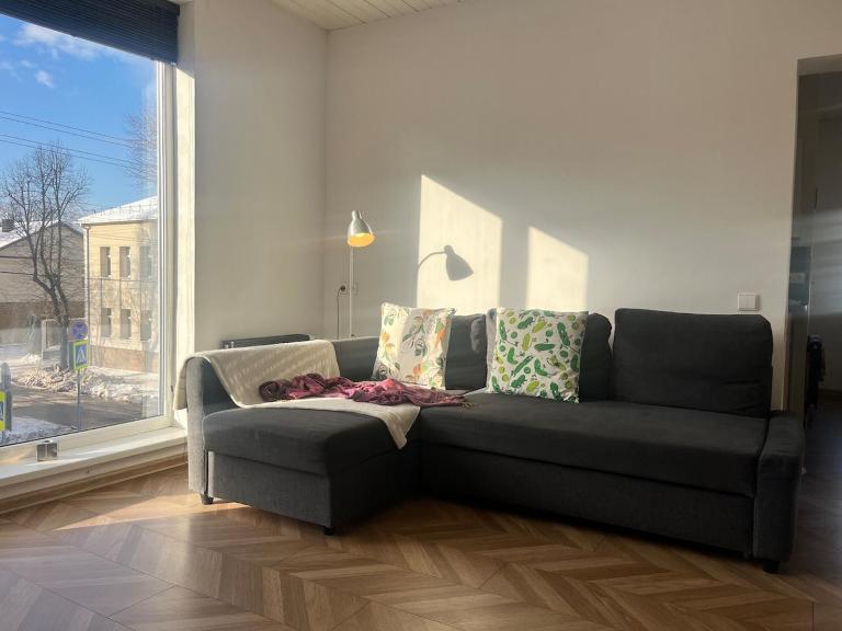 Cozy and quiet apartment near the city - Bed and Breakfast Kaunas