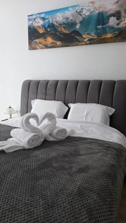 Mountain View Apartment&Parking - B&B Râşnov