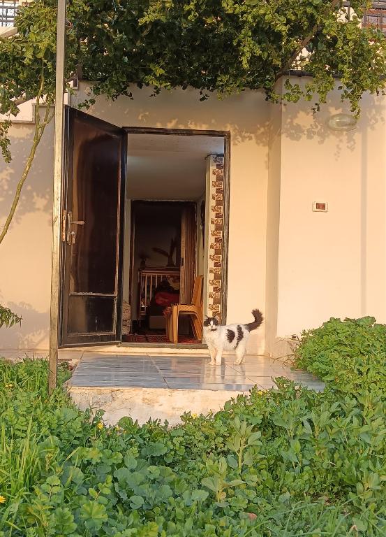 Rousan House - Ferienwohnung Umm Qays