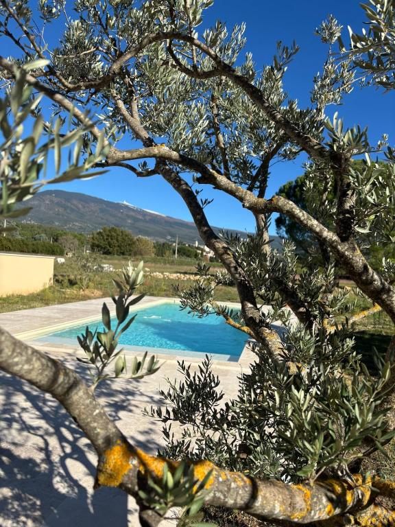 Le Mas des Grillons, mas rénové entièrement climatisé avec piscine et vue Ventoux - B&B Crillon-le-Brave