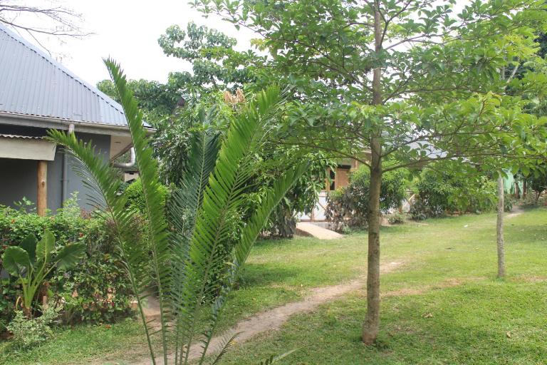 Kibale Eco-Home - B&B Bigodi