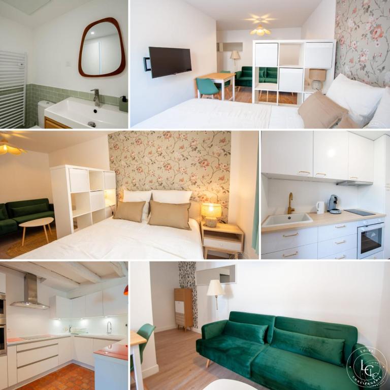 Le Blois Apartment Modern comfort near the Loire castles - Bed and Breakfast Courbouzon