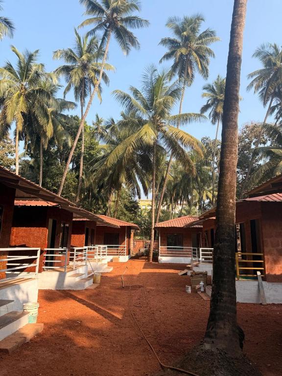 Silver Shark Boutique Villas - B&B Ajgaon