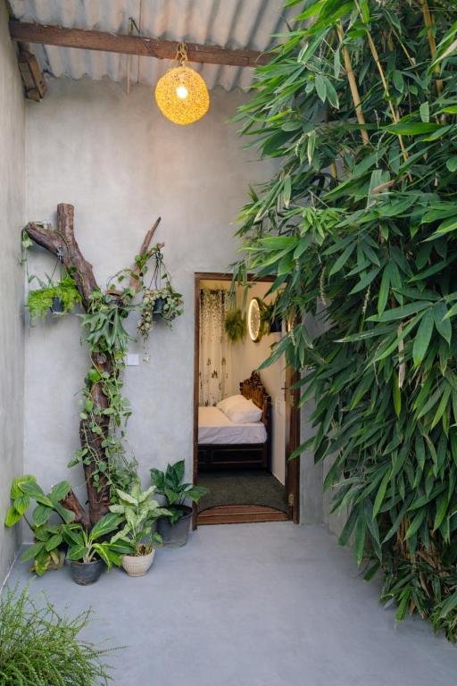 Wild Pulse Yala - B&B Tissamaharama