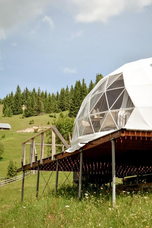 Motyl Glamping Resort - B&B Berestechko