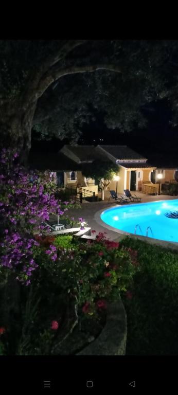 Aphrodite Studios & Pool - Chambres d'hôtes Palaiokastrítsa