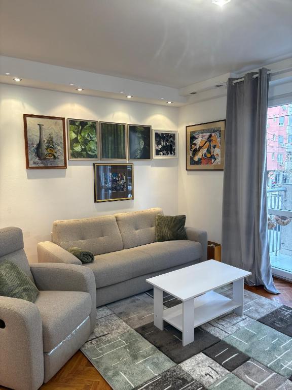 Apartman Sasha 3 - Free parking - B&B Belgrado