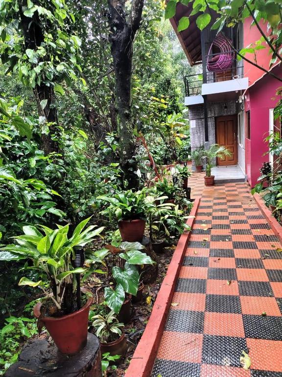 CENTAURUS Coorg HOMESTAY - B&B Madikeri