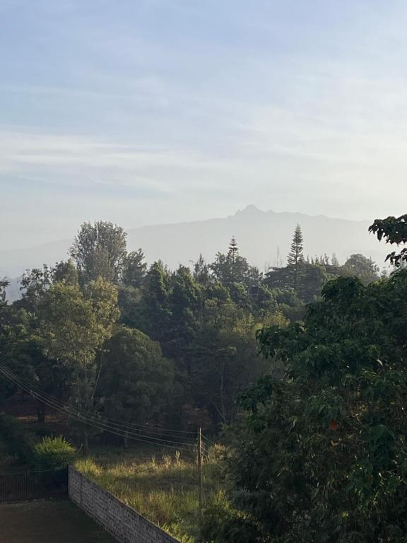 The Mountain Gaze - Chambres d'hôtes Nyeri