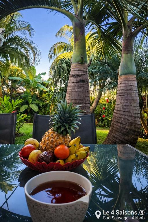 Le 4 saisons, charmant T2, jardin tropical, piscine partagée avec hôtes - Chambres d'hôtes Saint-Pierre