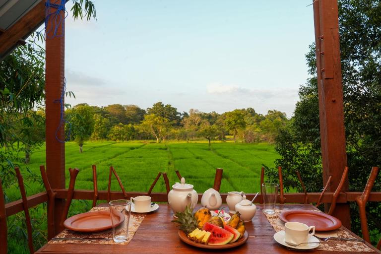 Comfort Treehouse Pidurangala - Bed and Breakfast Dambulla