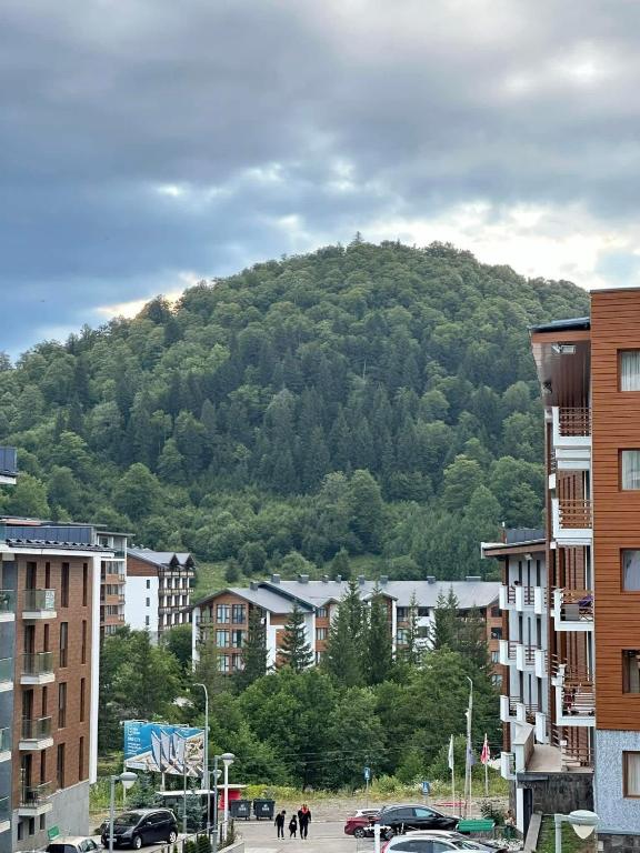 Frostwood Residence Orbi - B&B Bakuriani
