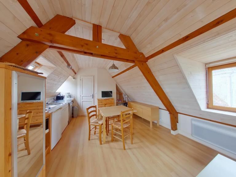 Studio charmant à 70m des Thermes, WiFi, Animaux bienvenus - FR-1-541-137 - B&B La Roche-Posay