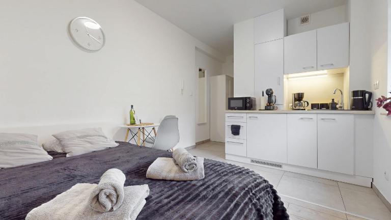 Studio Fibra Metrio - Ferienwohnung Rybnik