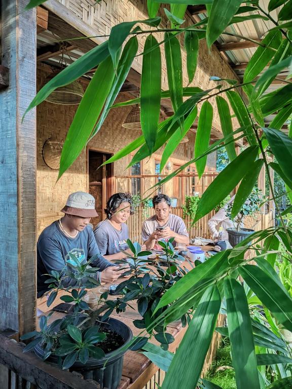 Local Garden Homestay - B&B Masbagik