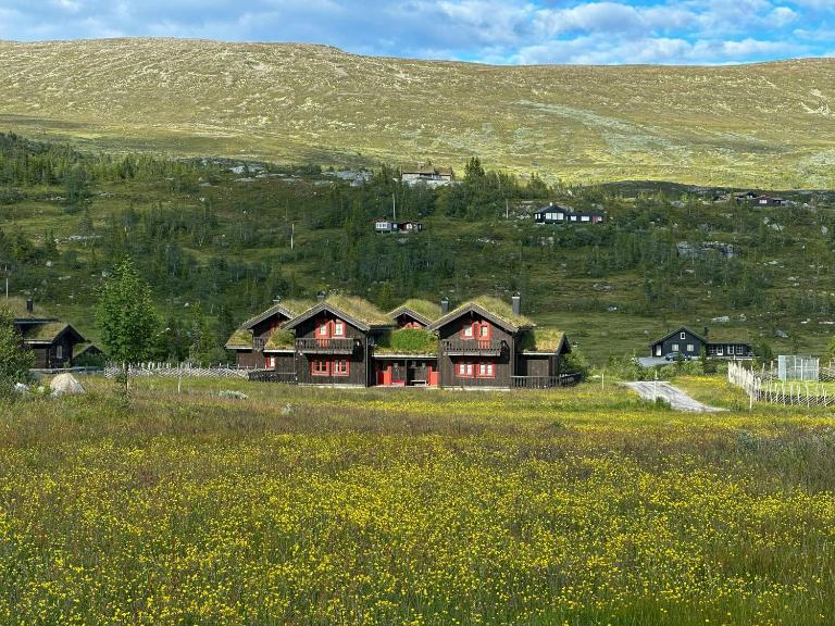 Cabin By Main Ski Trail At Norefjell - B&B Eggedal