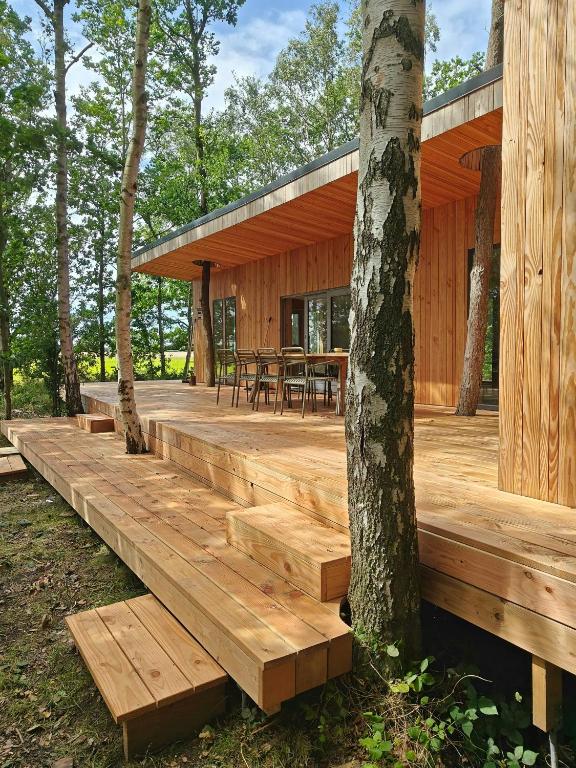 Handbuilt Cottage In Untouched Forest By Langø - B&B Nakskov